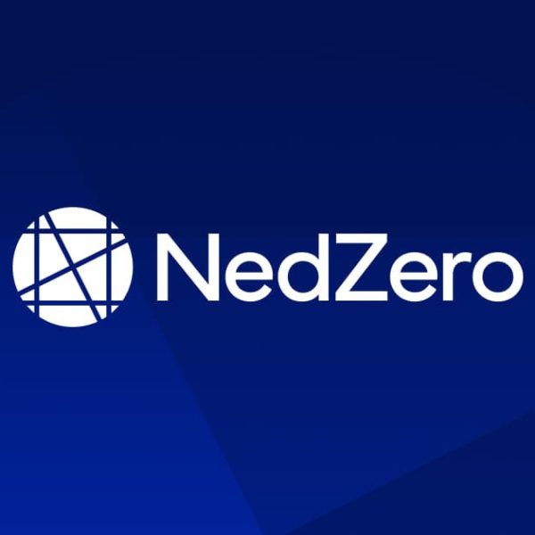 NedZero